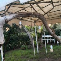 Struttura in legno di mare con illuminazione