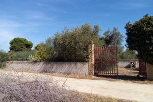 Terreno Marinella di Selinunte