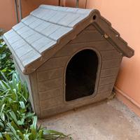 Cuccia per animali gratis