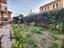 Immagine 28