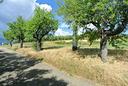 terreno-agricolo-pianeggiante