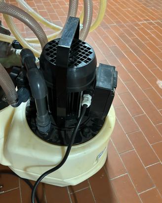 Pompa