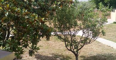 Vacanze al mare di Orosei