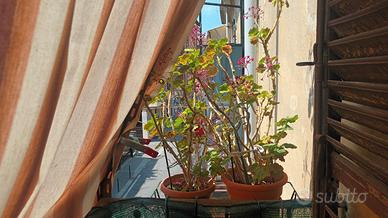 Bilocale Barriera di Milano Via Soana 4