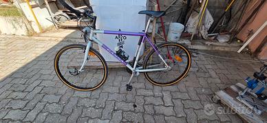 bici mountain bike