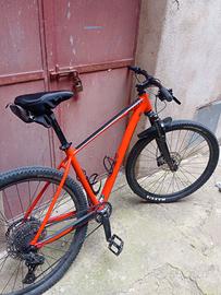 Bici MtB Scott scale