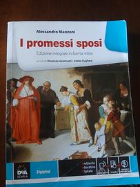 i promessi sposi 