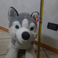 peluche cane husky siberiano 