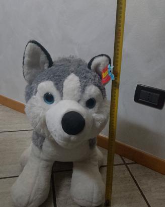 peluche cane husky siberiano 