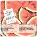 Collezione in CD di Hot Summer 2003
