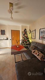 divano con letto estraibile e penisola