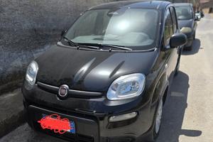 Fiat pandina  2024