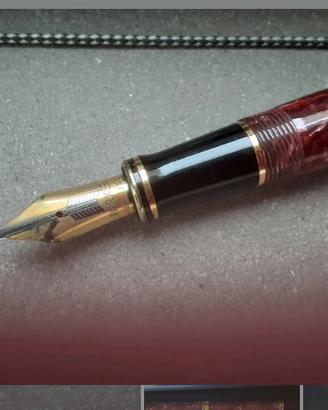 Combo Stilografica e Portamine Parker