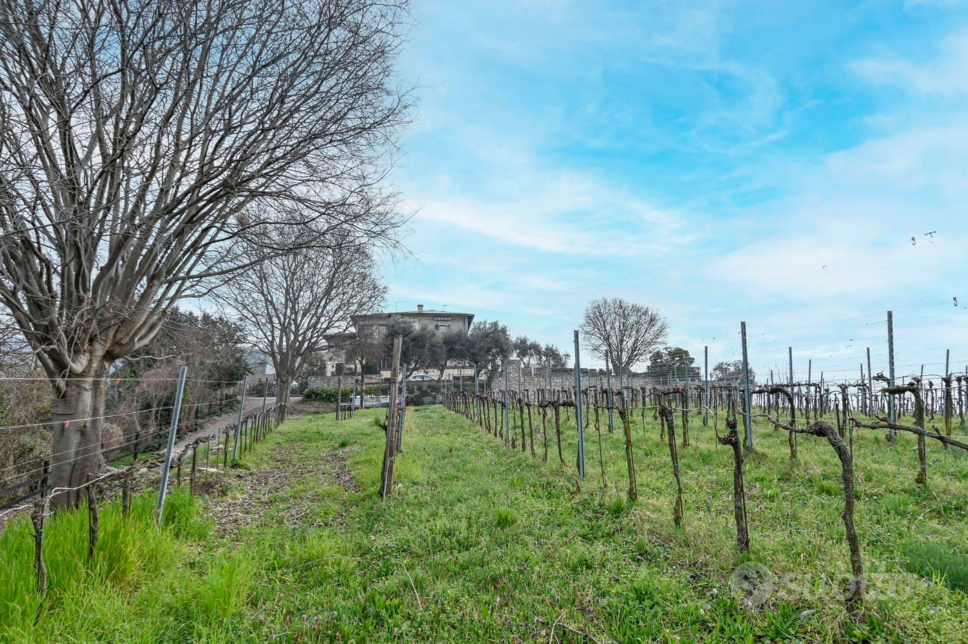 Terreno Agricolo Chiuduno [Cod. rif 3300105VCG] - Vista 3