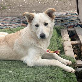 Gioconda aspetta la sua famiglia per sempre