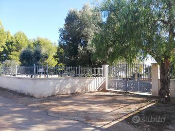 TERRENO a Carovigno ,Puglia, 