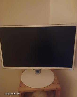 TV   e monitor
