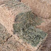 Fieno di erba medica in ballette