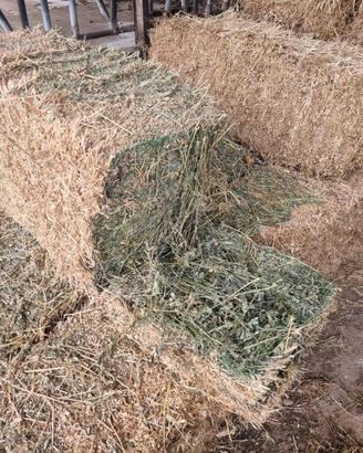 Fieno di erba medica in ballette