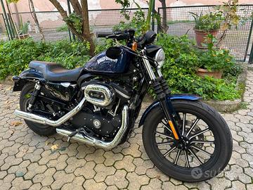 Harley Davidson 883 iron