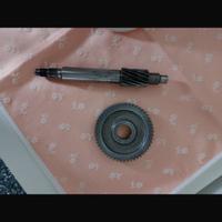 Rapporti Primari Malossi piaggio