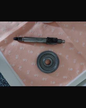 Rapporti Primari Malossi piaggio