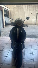 Beverly 500cc piaggio