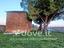 Immagine 9