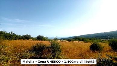 L'investimento che prenderà sempre più valore