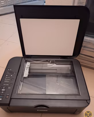 Stampante multifunzione Canon PIXMA MG2250 + 2 car