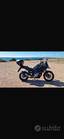 Vstorm 650