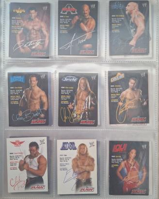 Collezione Completa WWE SmackDown vs Raw 2004