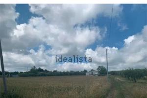 Casetta