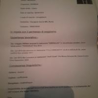 Cuoco e aiuto cuoco anche aiuto pizzaiolo