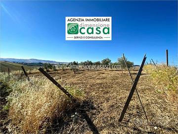 Rif.TA41|Terreno agricolo Caltanissetta