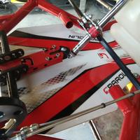 go kart parolin iame reedster 5 gokart