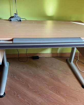 Scrivania Moll Ergonomica e lampada Moll
