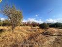 terreno-bivio-foresta-c-chiovaro-carini-