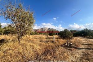 Terreno, Bivio Foresta - C. Chiovaro, Carini.