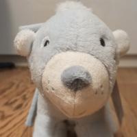 Carillon orso coccolone 