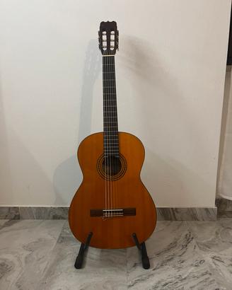 Chitarra Young Chang CRB-335 + borsa Aria