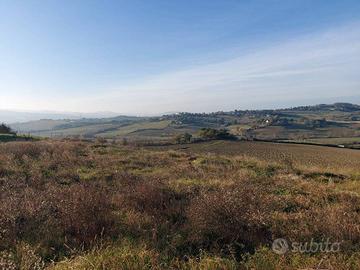 TAVULLIA PESARO LOTTO EDIFICABILE VILLA ONERI PAGA