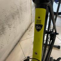 Specialized roubaix tg56