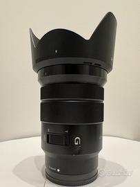 Sony E PZ 18-105mm f/4 G OSS