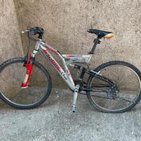 Mountain bike