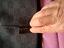 Immagine 4