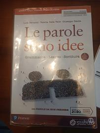 Doppio libro 'Le parole sono idee