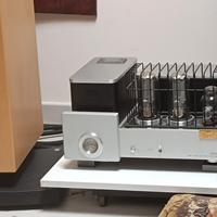 Cayin 9088D monoblocks