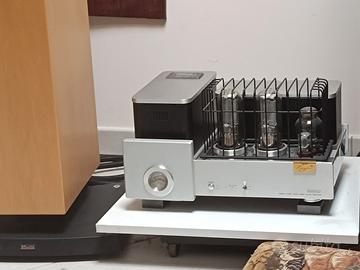 Cayin 9088D monoblocks