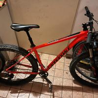 cannondale taglia m